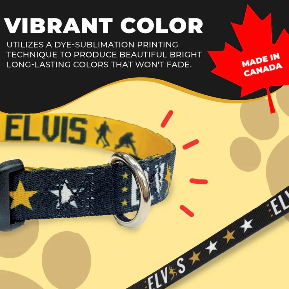 Elvis Dog Collar Gold and Black Size Large New